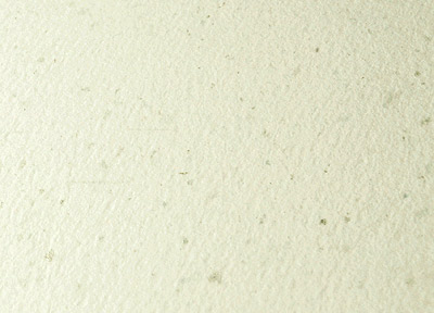 花紋賀咭/邀請咭