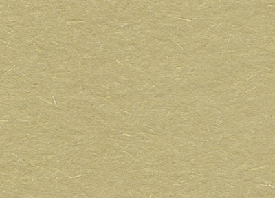 大地咭 (米褐色)