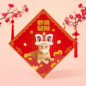 中國傳統節慶風格模板，紅金配色搭配舞獅貓元素 